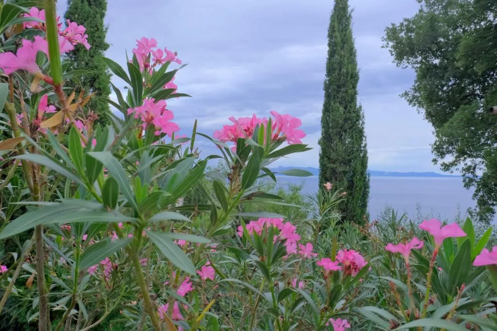 Les Villas de Qeparo — view 3
