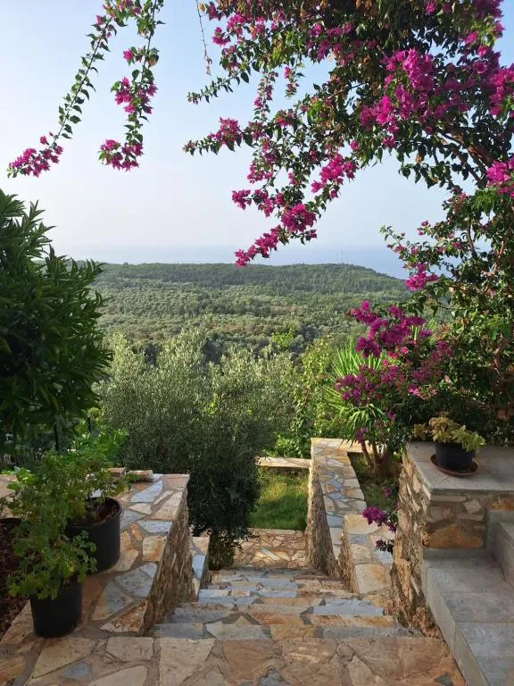 Vila Tatjana (Vuno) — view 4