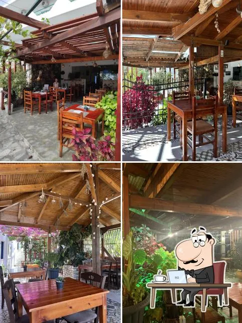 Taverna Velco — photo 2