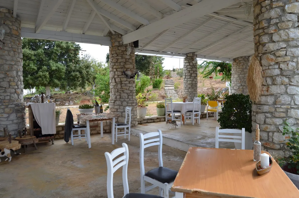 Tramonto Ristorante — photo 4